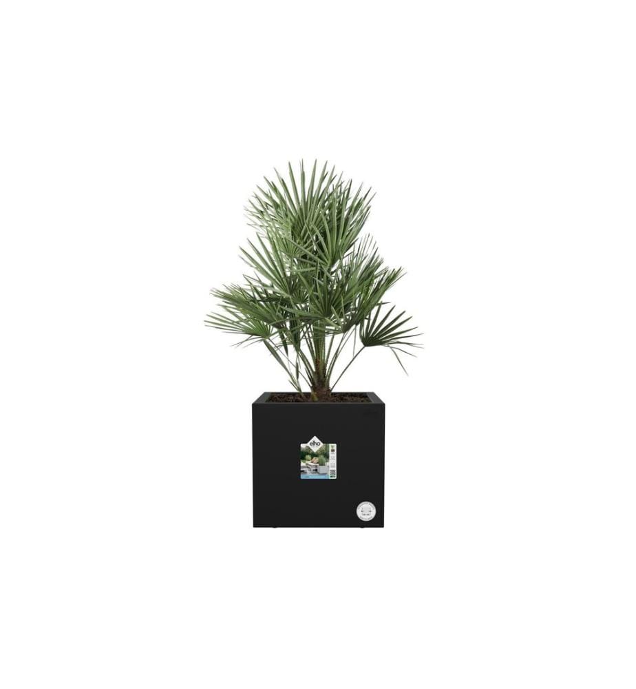 Elho - Blumentopf Next Quadrat 30 cm Schwarz