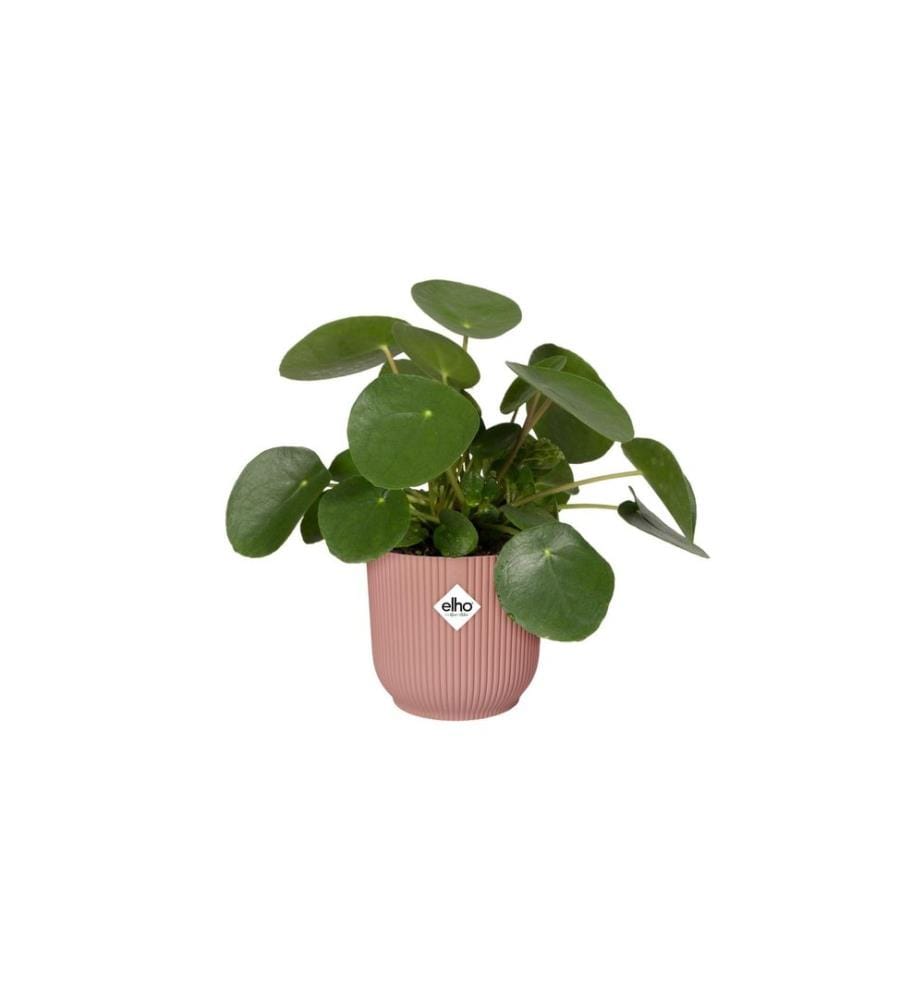 Elho - Blumentopf Vibes Fold Rund 35 cm Rosa