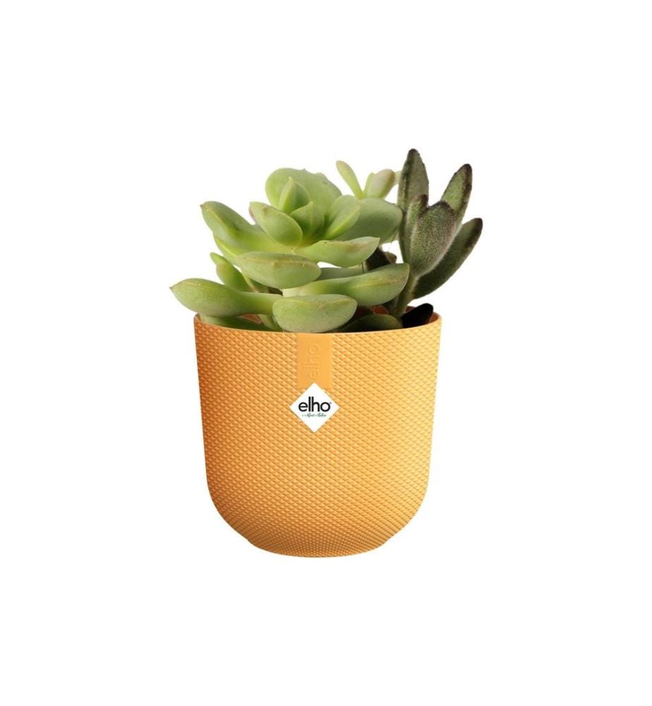 Elho - Pot de fleur Jazz mini 0.4 l, jaune ambre