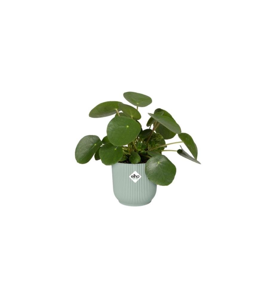 Elho - Blumentopf Vibes Fold mini 0.8 l, Sorbet Grün