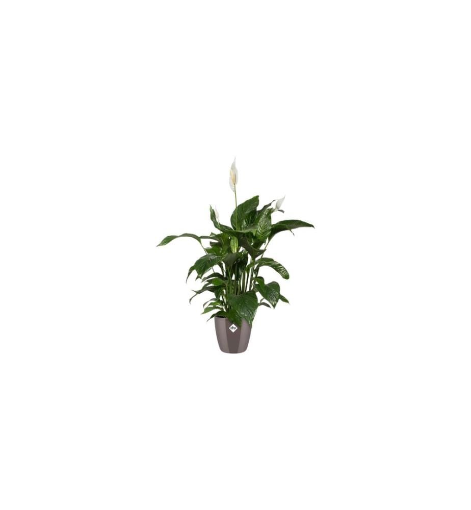 Elho - Blumentopf Brussels Diamond rund 1.4 l, Oyster Pearl
