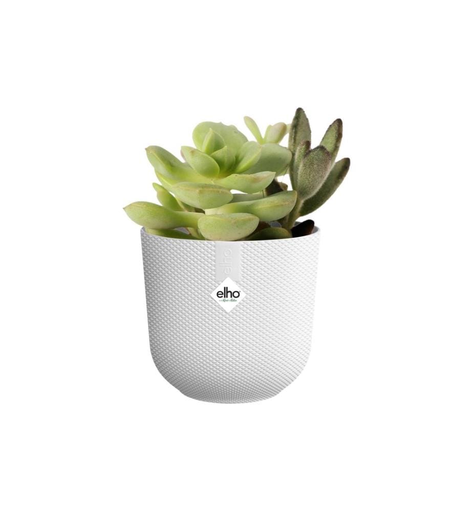 Elho - Blumentopf Jazz mini 0.4 l, Seidenweiss