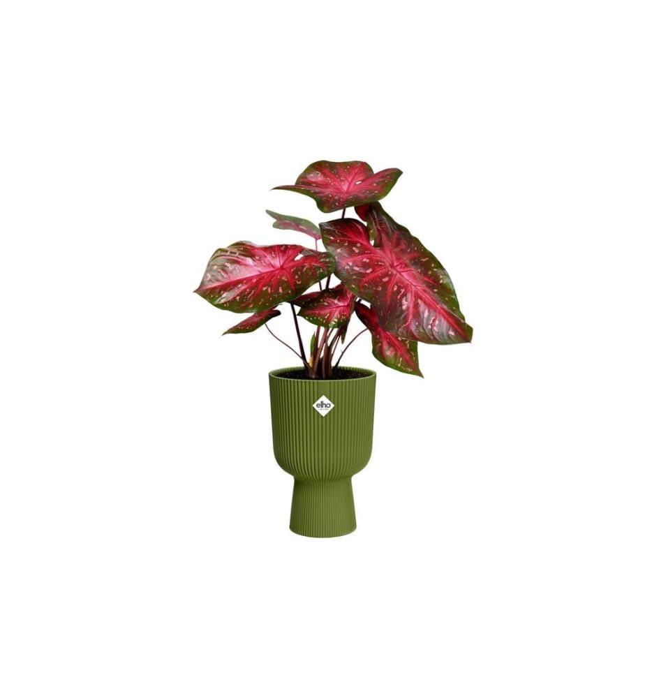 Elho - Blumentopf Vibes Fold Coupe 30 cm Grün