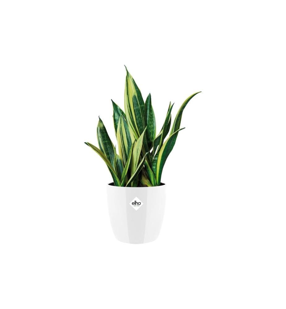 Elho - Blumentopf Brussels Diamond rund 6.2 l, Weiss