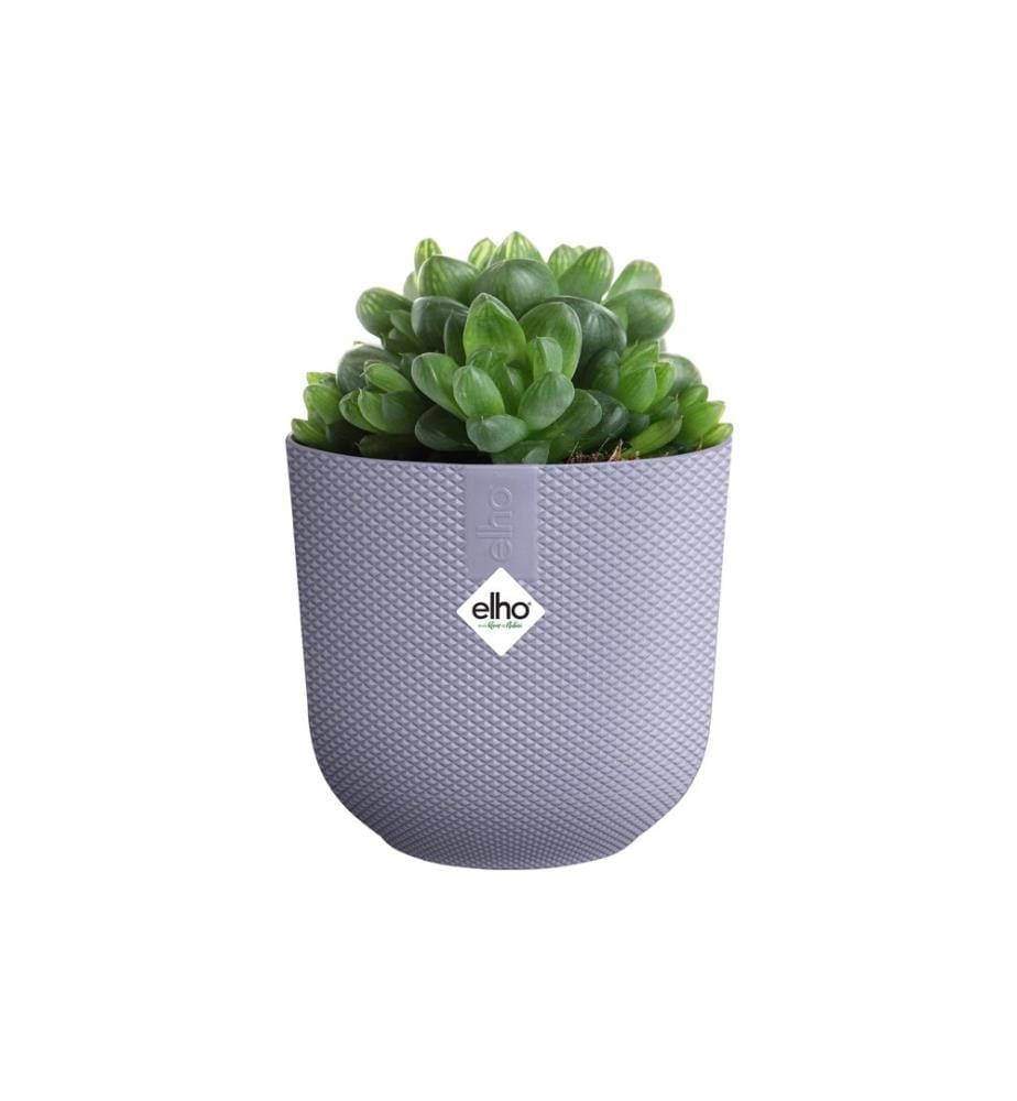 Elho - Blumentopf Jazz mini 0.8 l, Lavendel Lila