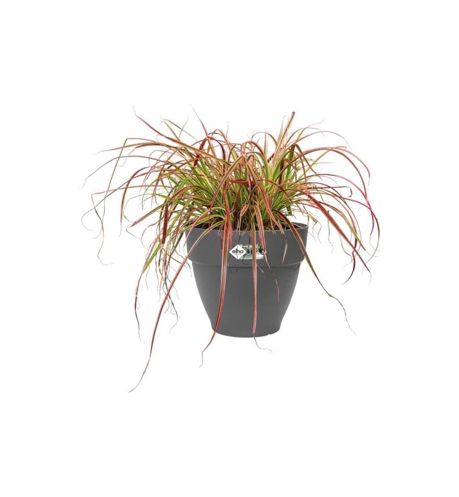 Elho - Pflanzentopf Vibia Campana Rund 35 cm Schwarz