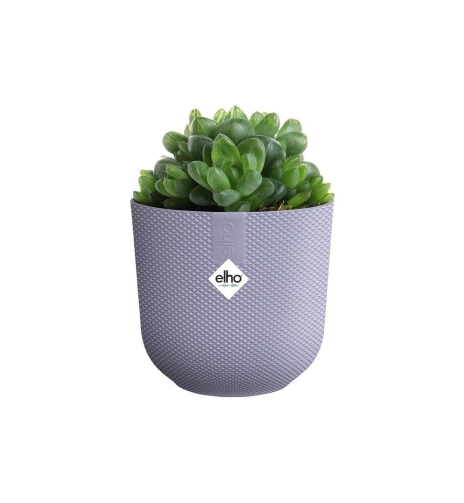 Elho - Blumentopf Jazz mini 0.2 l, Lavendel Lila