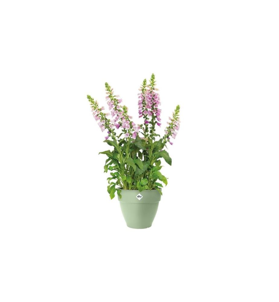 Elho - Pflanzentopf Vibia Campana Rund 40 cm Grün