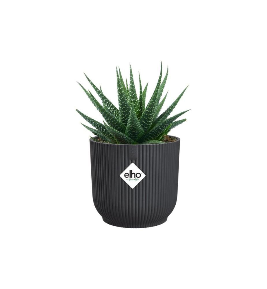 Elho - Blumentopf Vibes Fold mini 0.2 l, Anthrazit