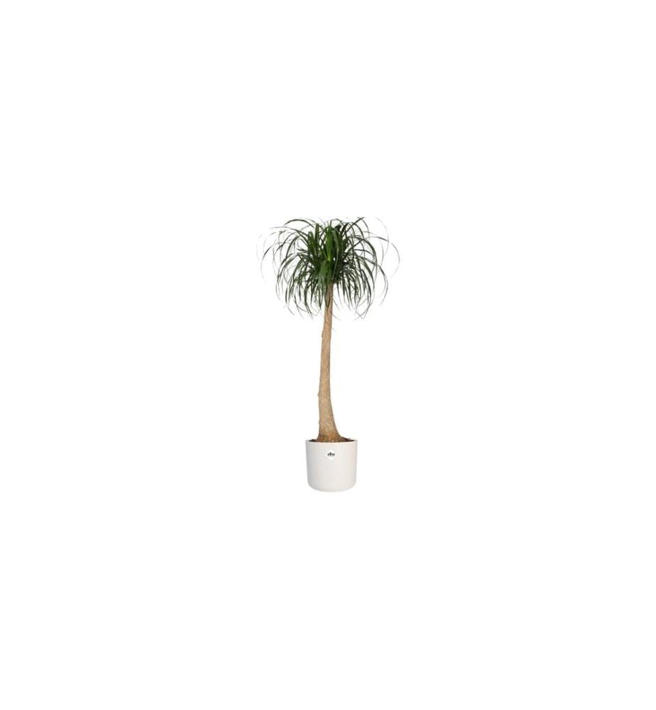 Elho - Blumentopf B. for soft 6.9 l, Weiss