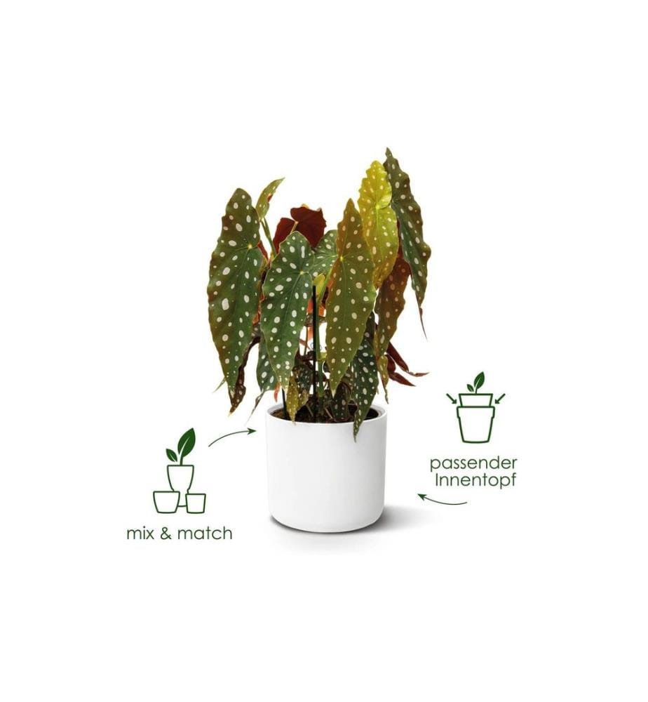 Elho - Blumentopf B. for soft 6.9 l, Weiss