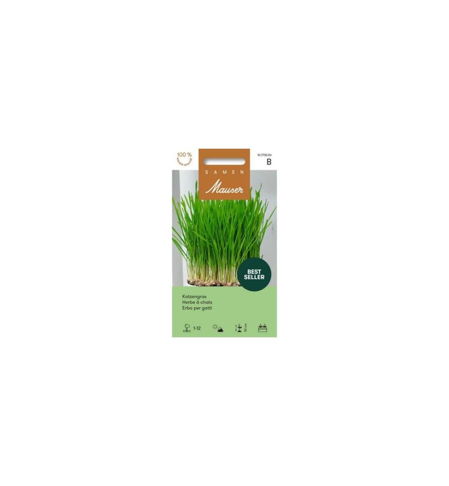 Samen Mauser - Samen Katzengras 25g