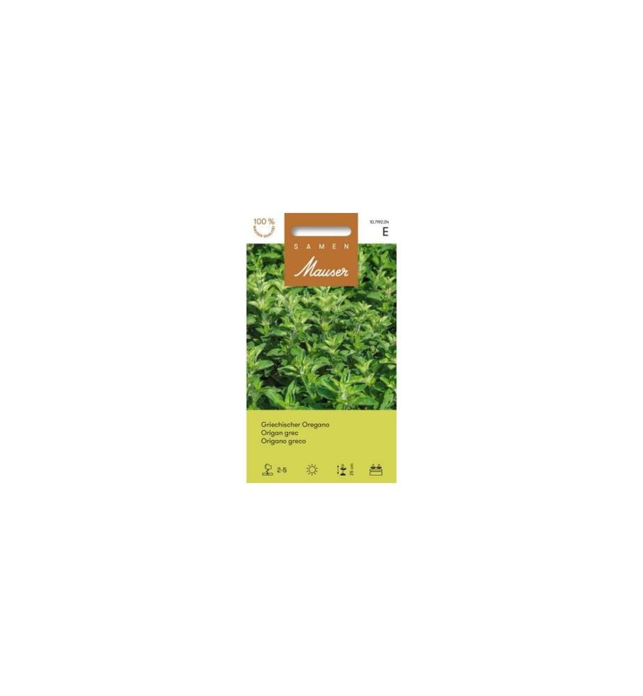 Samen Mauser - Samen Griechischer Oregano