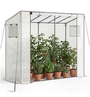 Serre en plastique Anton 200 x 77 x 170 cm, résistante aux intempéries - blanc transparent