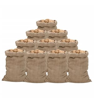 Sacs en jute 10 pcs 60x105 cm 100 % jute 340 g/m²
