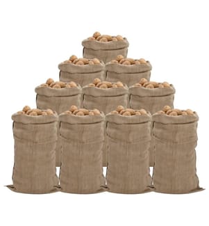 Sacs en jute 10 pcs 65x135 cm 100 % jute 340 g/m²