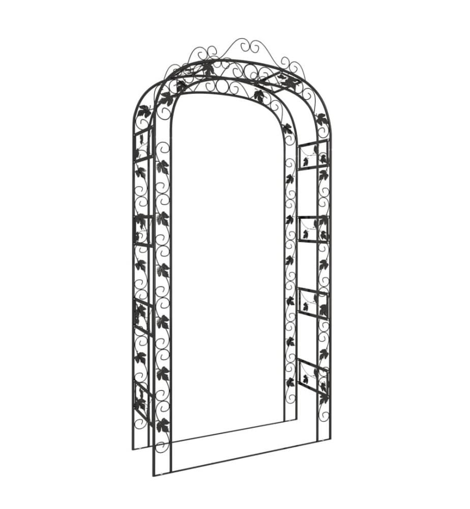 Arche de jardin Noir 116x45x240 cm Acier