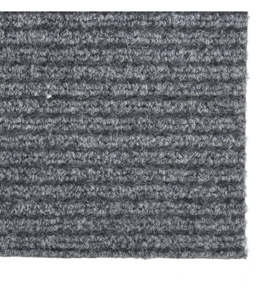 Schmutzfangläufer Grau 100x300 cm