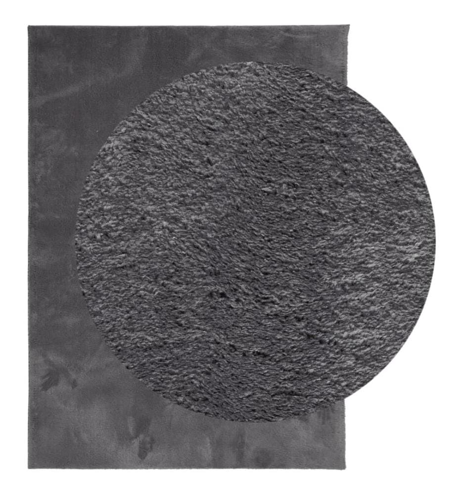 Teppich HUARTE Kurzflor Weich und Waschbar Anthrazit 200x280 cm