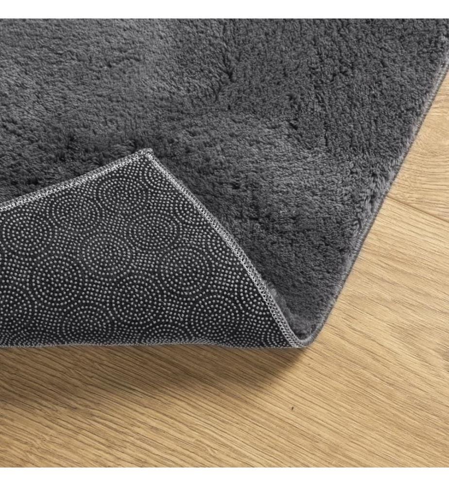Teppich HUARTE Kurzflor Weich und Waschbar Anthrazit 200x280 cm