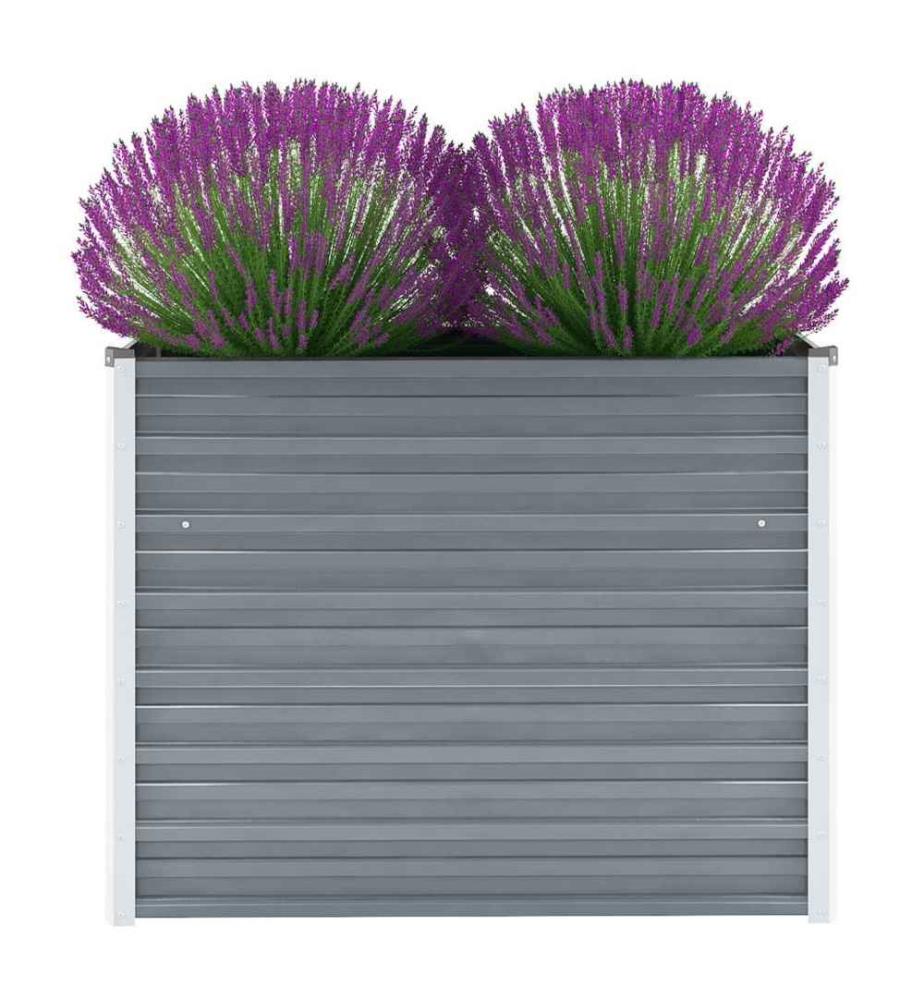 Lit surélevé de jardin Acier galvanisé 100x40x77 cm Gris