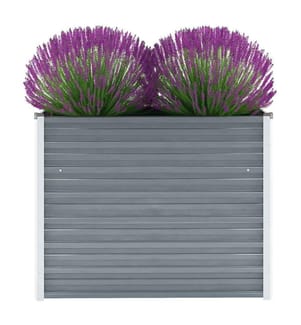 Lit surélevé de jardin Acier galvanisé 100x40x77 cm Gris