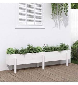 Lit surélevé de jardin blanc 160x30x38 cm bois de pin massif
