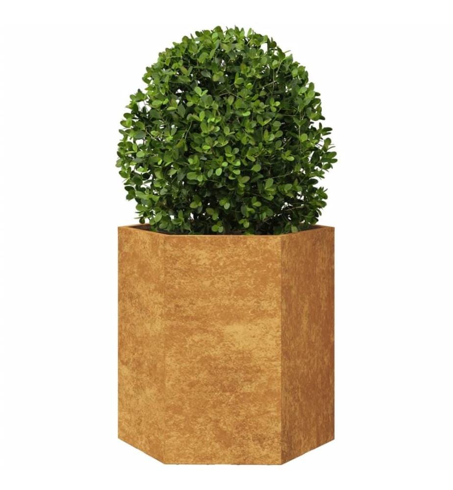 Jardinières 2 pcs hexagone 46x40x45 cm acier patinable