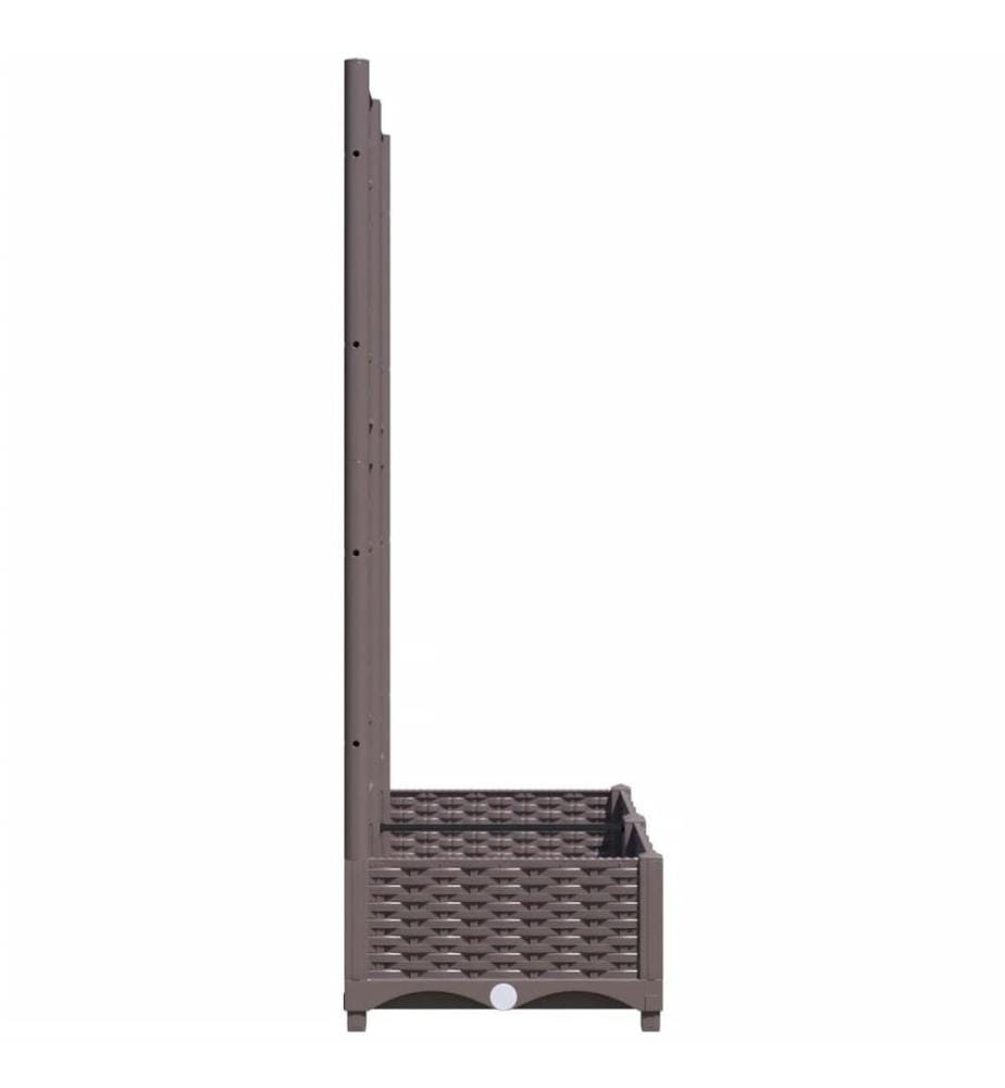 Pflanzkübel mit Rankgitter Braun 80x40x121,5 cm PP