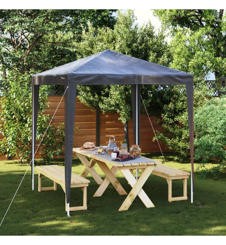 Profi-Partyzelt 2x2 m Anthrazit