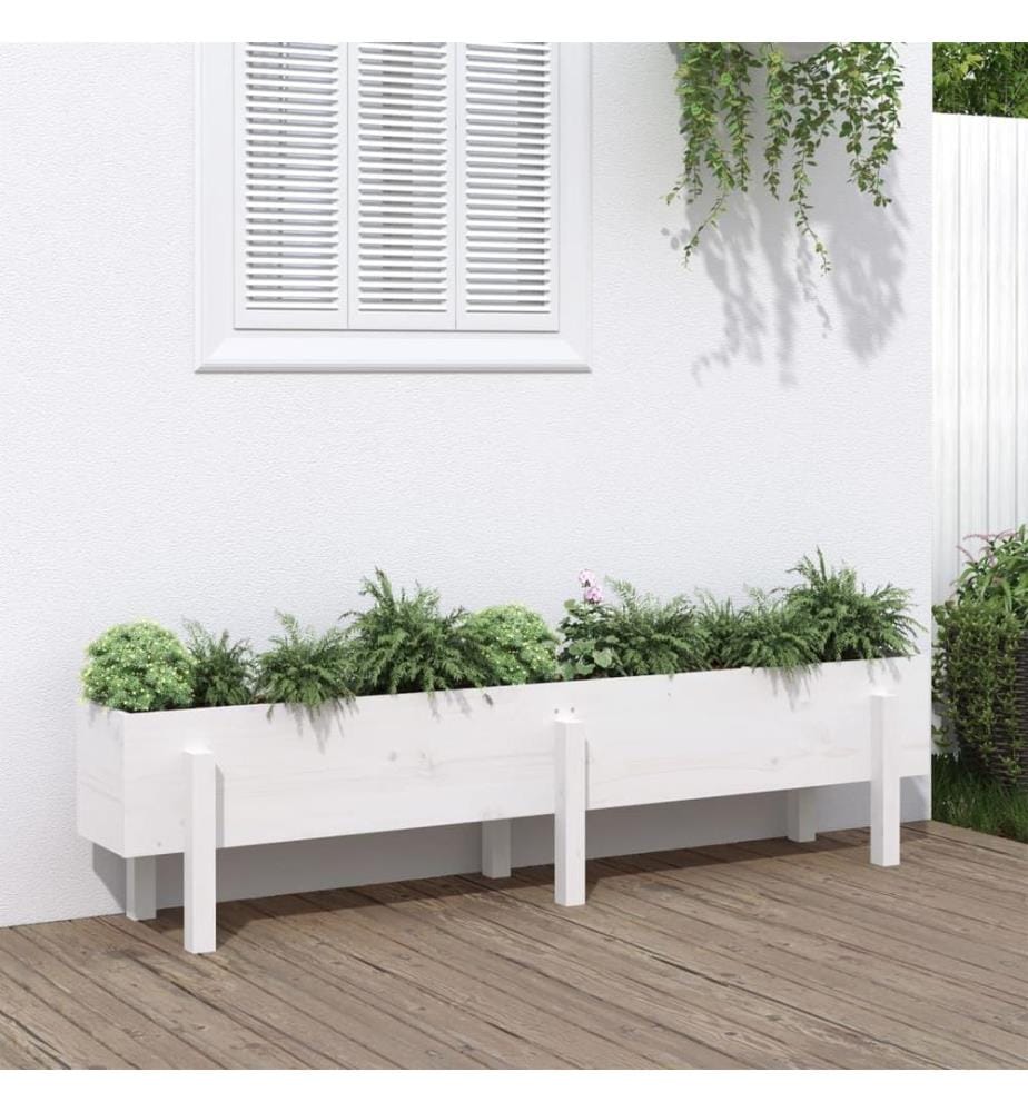 Hochbeet Weiss 160x30x38 cm Massivholz Kiefer