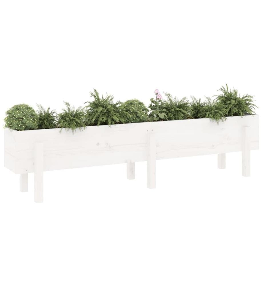 Hochbeet Weiss 160x30x38 cm Massivholz Kiefer