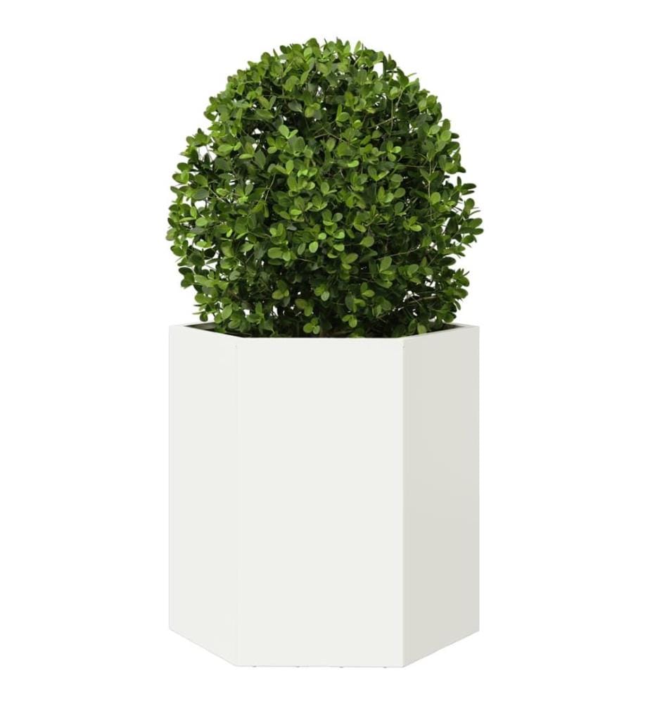 Jardinières 2 pcs blanc hexagone 46x40x45 cm acier