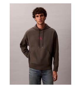 Hoodie - Beluga