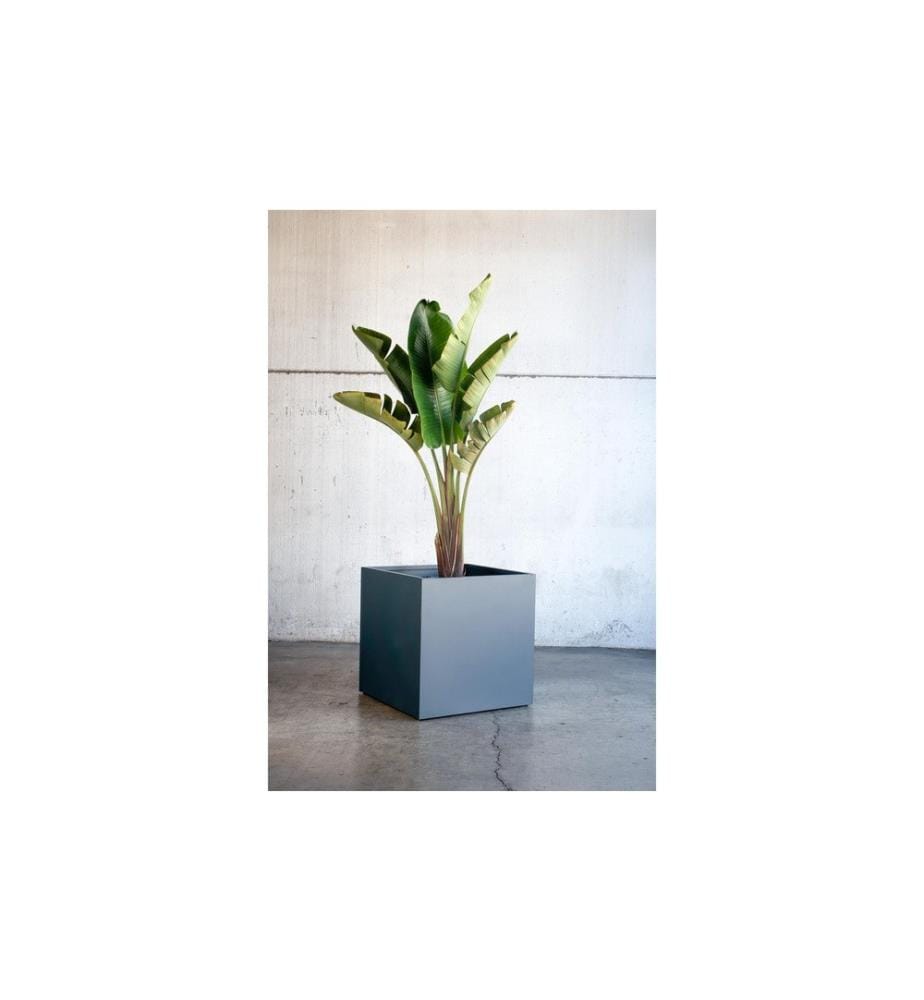 HERSTERA - Pflanzentopf Metal Planter Cube, Anthrazit