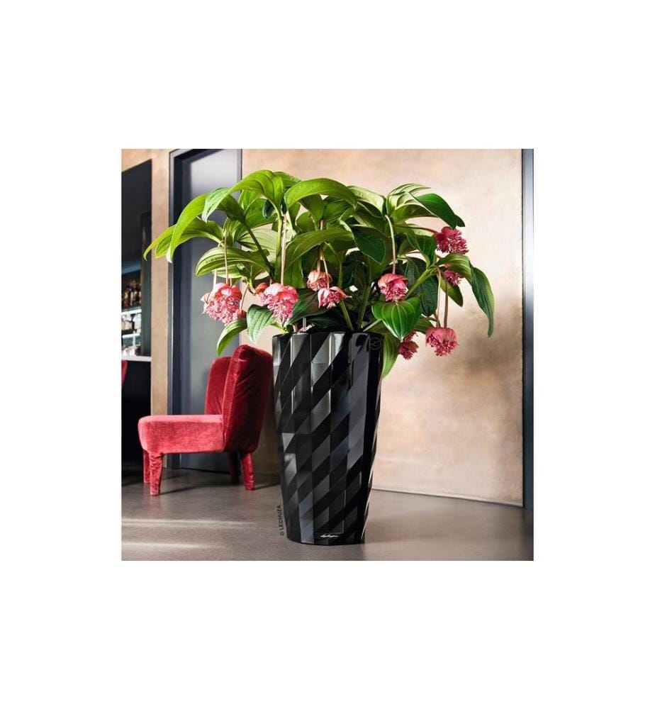 LECHUZA - Blumentopf Diamante Premium 40, Schwarz
