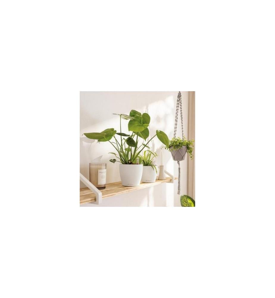 LECHUZA - CLASSICO Color 12 Blanc