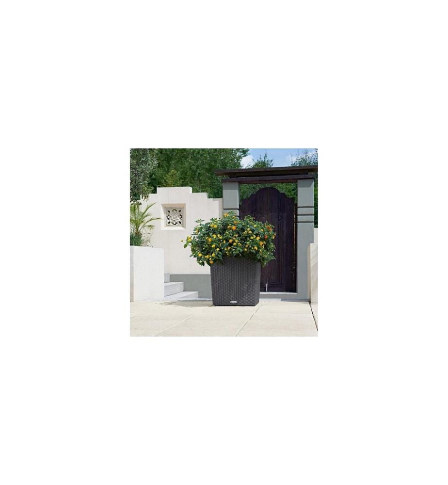 LECHUZA - CUBE Cottage 40 Gris
