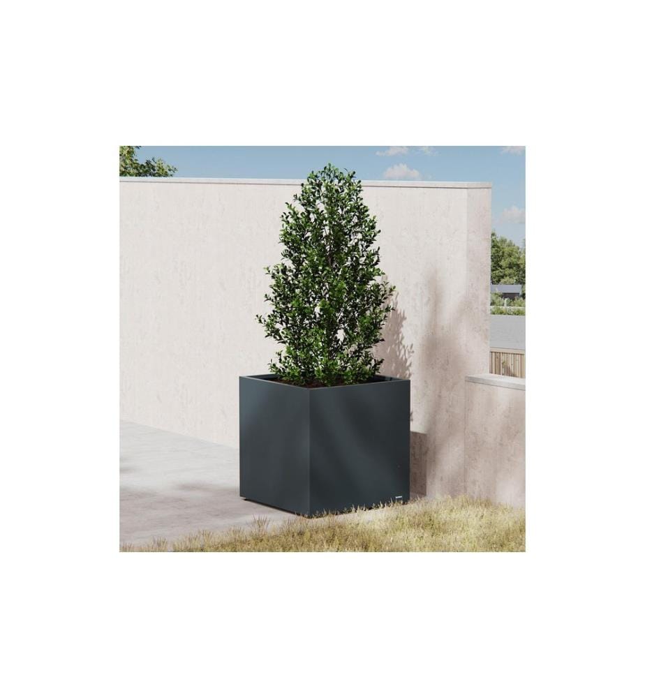 HERSTERA - Bac à plantes cube en métal 70 x 70 x 70 cm Anthracite