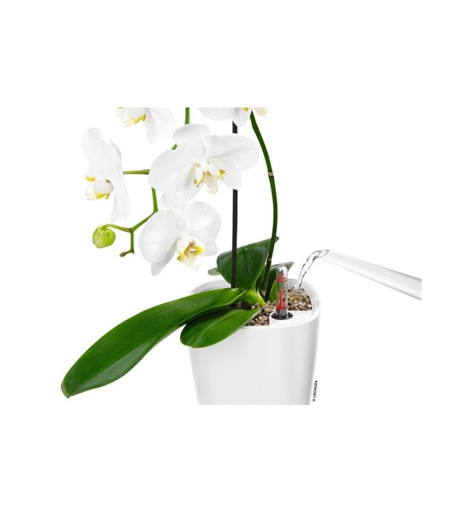 LECHUZA - Pot à herbes aromatiques Deltini Premium Blanc brillant