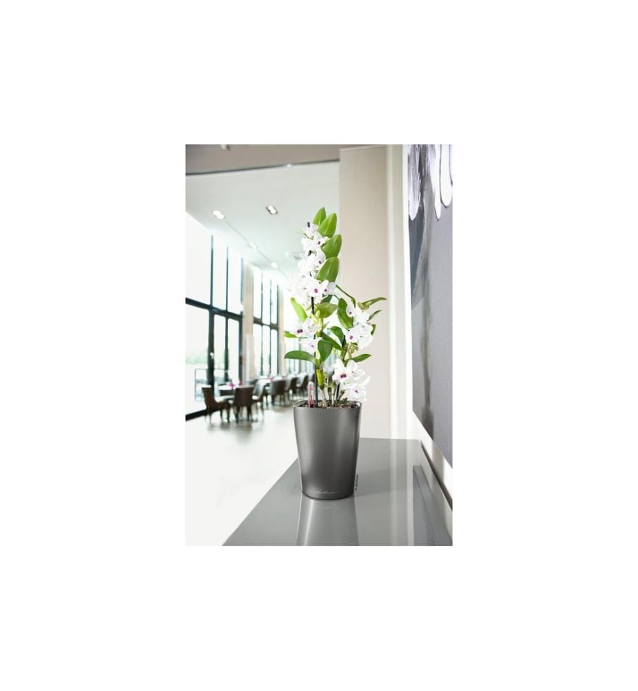 LECHUZA - Pot à herbes aromatiques Deltini Premium Anthracite métallisé