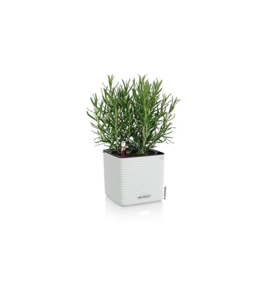 LECHUZA - Pot de fleur Cube Color 14 Blanc