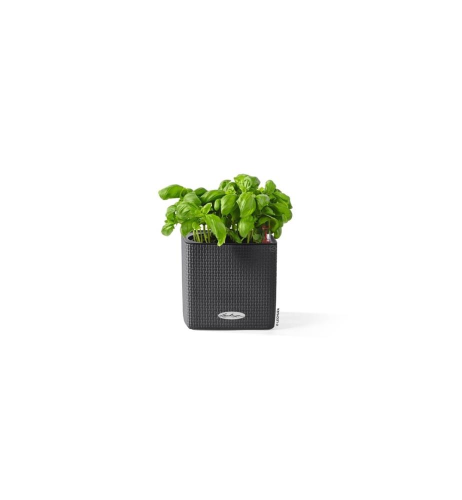 LECHUZA - Pot de fleur Cube Color 14 gris