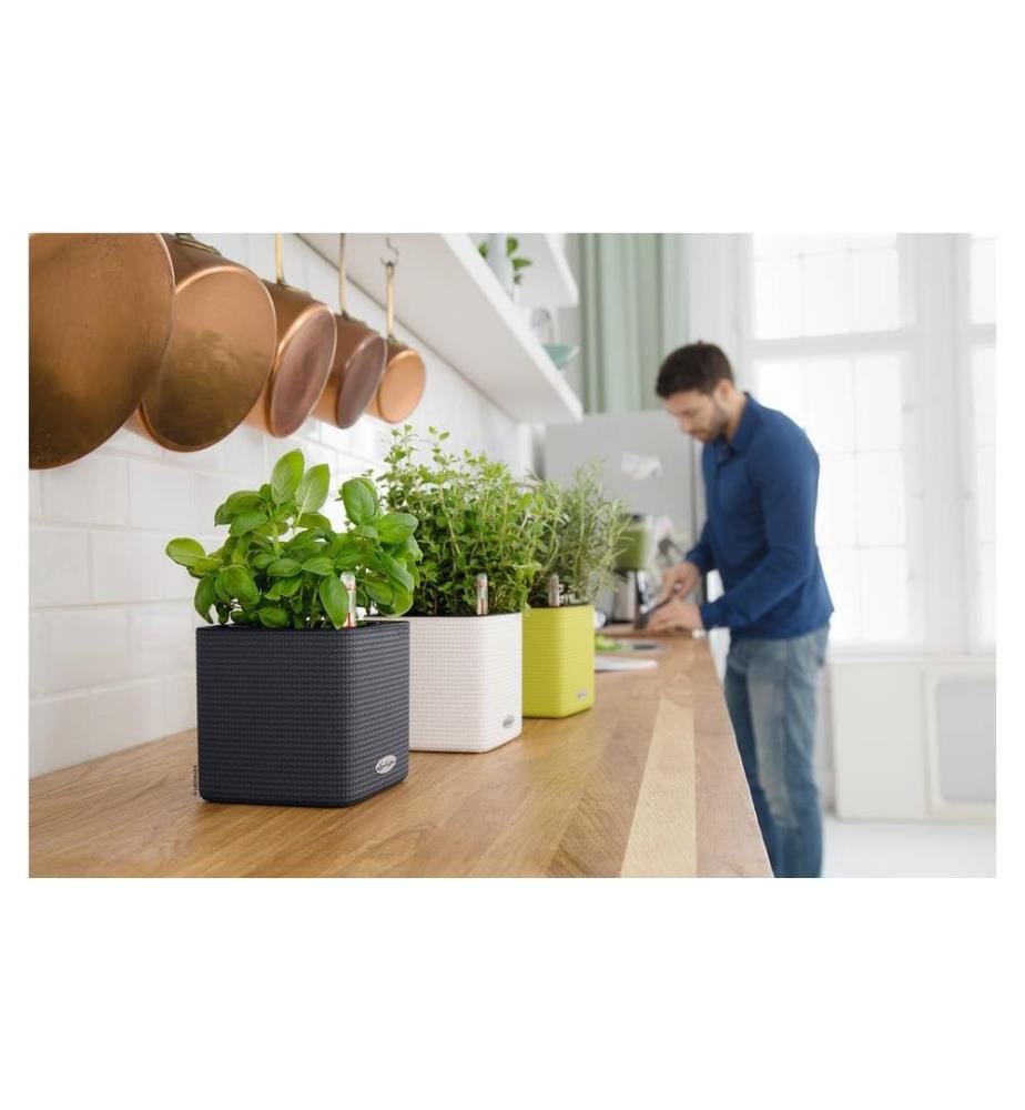 LECHUZA - Pot de fleur Cube Color 14 gris