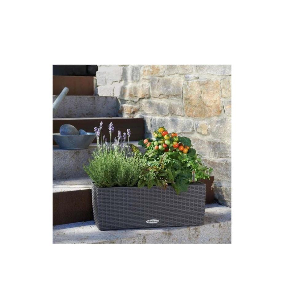 LECHUZA - Blumentopf Balconera Cottage 50 Anthrazit