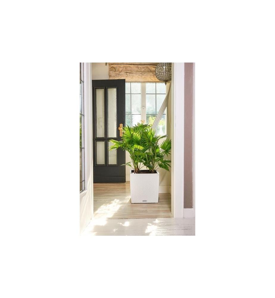 LECHUZA - Blumentopf Cube Cottage 40 Weiss