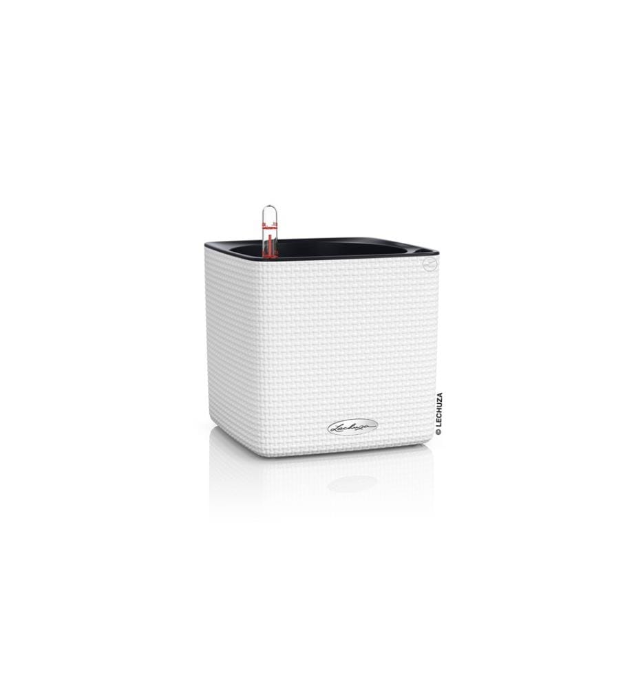 LECHUZA - Pot à herbes aromatiques Cube Color 16 Blanc