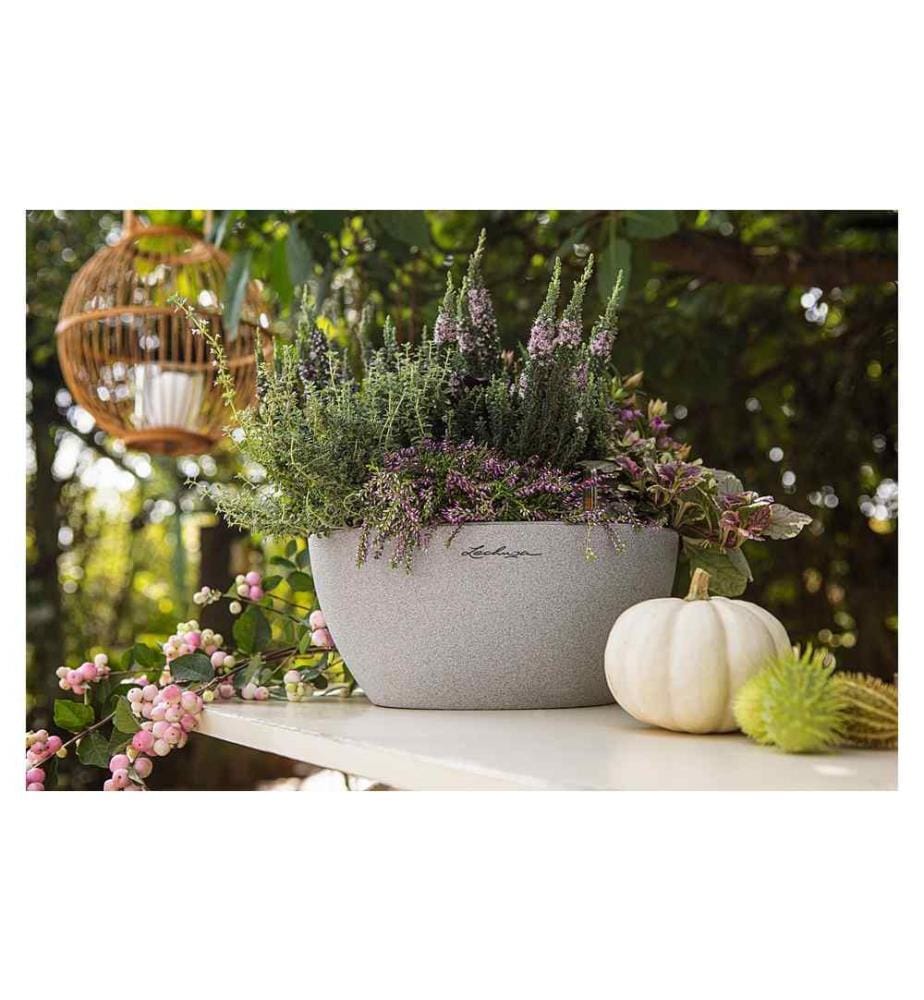 LECHUZA - Pot de fleur Cubeto Color 30 gris