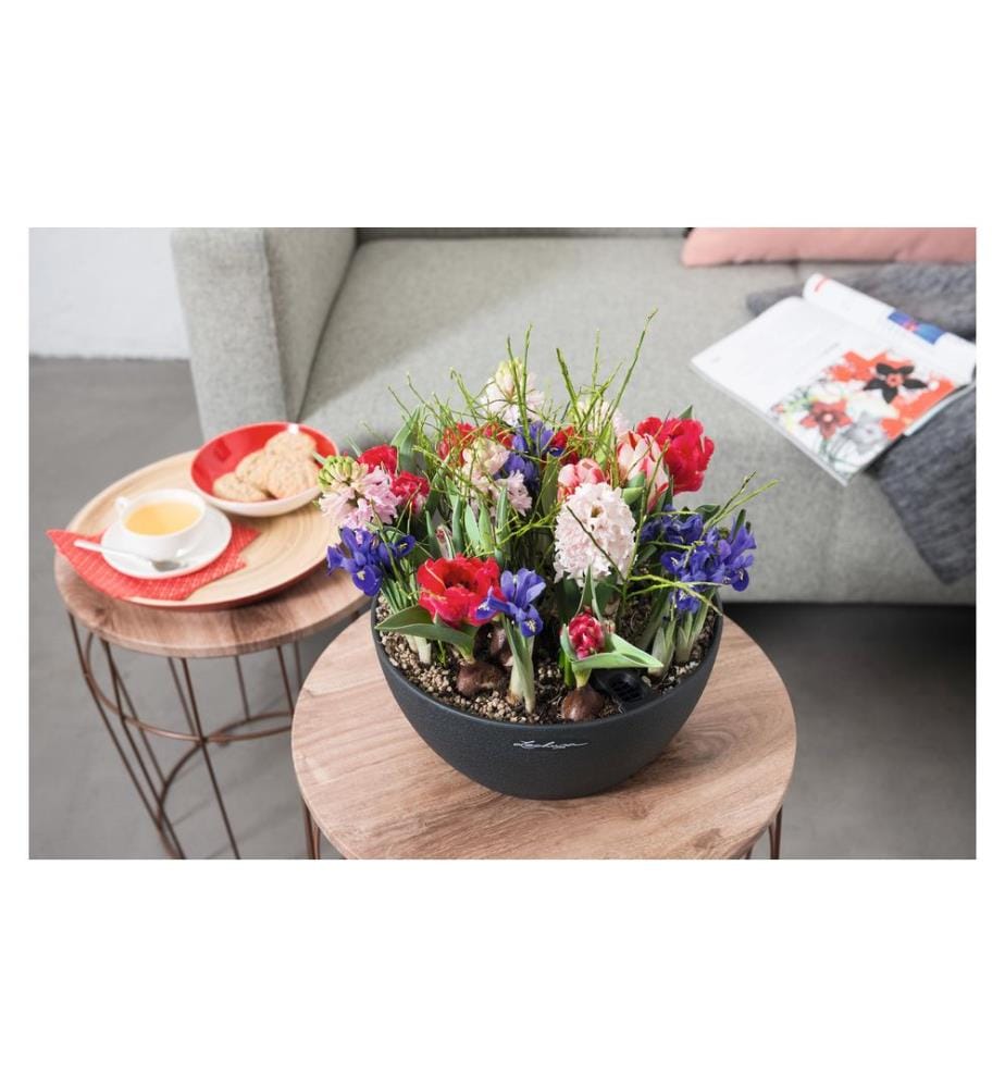 LECHUZA - Pot de fleur Cubeto Color 30 Noir