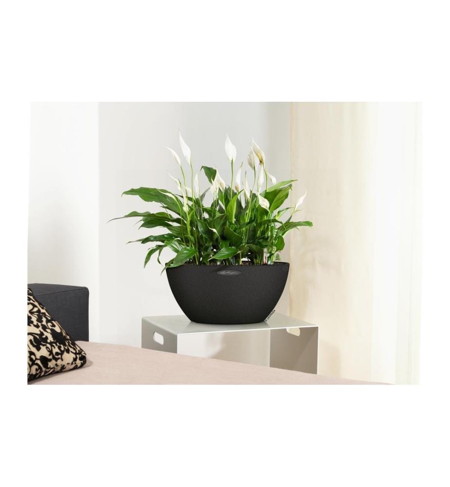 LECHUZA - Blumentopf Cubeto Color 40 Schwarz